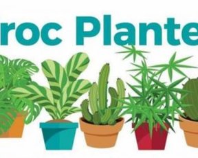 4 mai 2019 : Troc plantes à l'EHPAD
