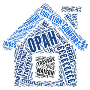 OPAH (Opération Programmée d'Amélioration de l'Habitat)
