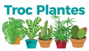 4 mai 2019 : Troc plantes à l'EHPAD